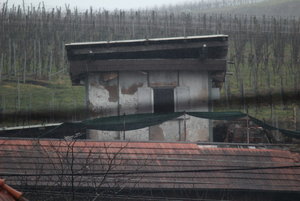 IMG_0282.JPG IMG_0282.JPG