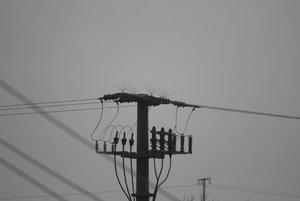 IMG_0296.JPG IMG_0296.JPG