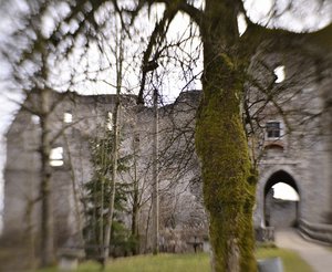 C_DSC6391.jpg C_DSC6391.jpg