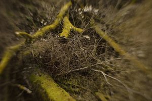 C_DSC6398.jpg C_DSC6398.jpg