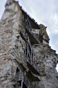 C_DSC6451.jpg C_DSC6451.jpg