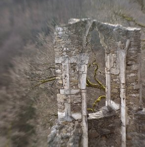 C_DSC6426.jpg C_DSC6426.jpg