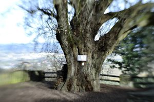 C_DSC6464.jpg C_DSC6464.jpg