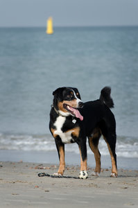 Tenno_1 (1 von 1).jpg