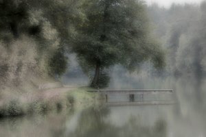 comp_Nebel am See.jpg