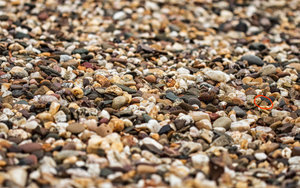 HG-Bild-2.jpg HG-Bild-2.jpg