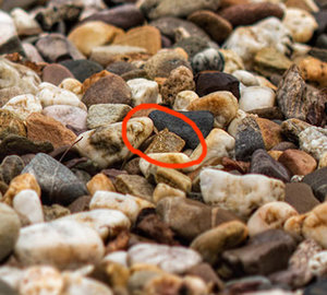 HG-Bild-3.jpg HG-Bild-3.jpg