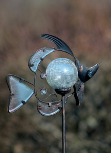 IMG_1059.jpg IMG_1059.jpg