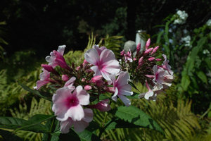 ProPhoto RGB in sRGB.jpg