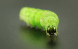 02-fertig.jpg 02-fertig.jpg