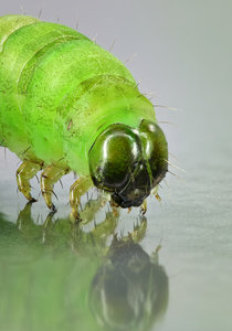 Stack 04-fertig.jpg Stack 04-fertig.jpg