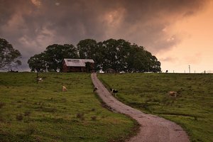 1500 Pix 500 kbIMG_3224_1500.jpg