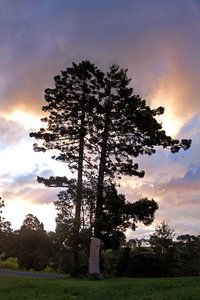 1500 Pix 500 kbIMG_3265_1500.jpg