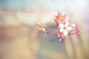 20140306-026 bearb..jpg