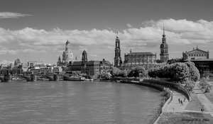 Dresden.jpg