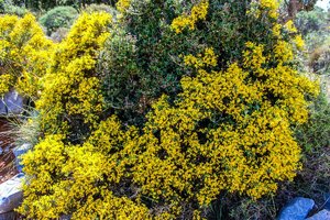 l4zgyihi.jpg l4zgyihi.jpg