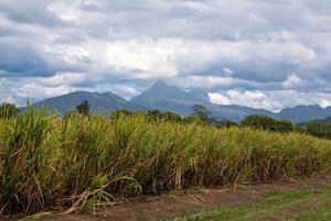 IMG_4815_1600_500 kb.jpg