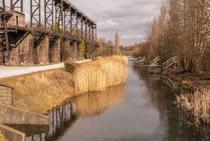 comp__DSC0076-1.jpg comp__DSC0076-1.jpg