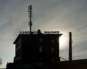 Forum DSC01534  NEX 5R + PanZebra 1,8 50 fin (c) PPf.jpg