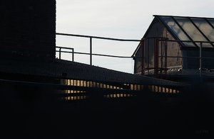 Forum DSC01538  NEX 5R + Jupiter 37 135mm_ShiftN (c) PPf.jpg