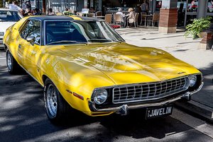 1600 Pix 500 kbIMG_0241_Bea_AMC-Javelin 401.jpg