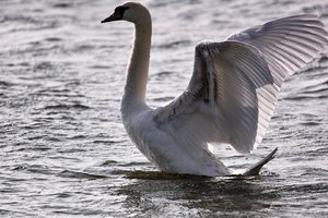 Rügen2014088SDIM0075.jpg Rügen2014088SDIM0075.jpg