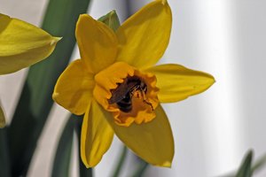 2014-03-11 15.09.03-1.jpg