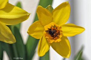 2014-03-11 15.10.09-3.jpg