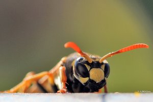 2014-03-09 15.25.04-2.jpg