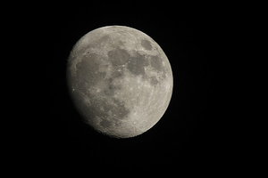 IMG_3052-2 (Andere).jpg