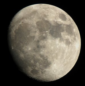 IMG_3052-3 (Andere).jpg