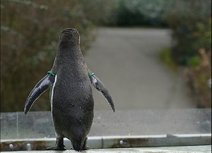 2014-02-04 22.03.10.jpg