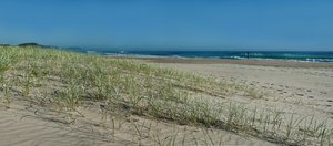 1600 Pix 500 kb_DSC00049.jpg