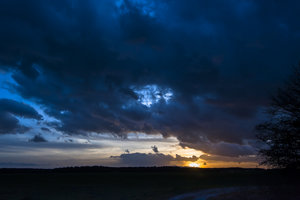 20140315-OliviaDSC_94401415. März 2014.jpg