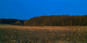 2014_03_14_DP2s_Ragoese_Feld_letzte_Abendsonne_0001_VarB_1200x600pix.jpg