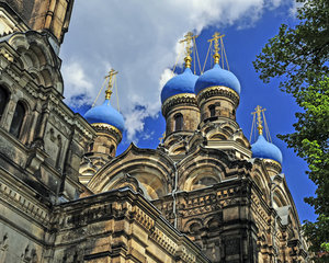 20120504-OliviaDSC_0738_2509_bearbeitet-12204. Mai 2012.jpg