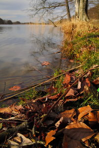 2014_03_20_DP1x_Rosinsee_Badestelle_0008_JPGooDP1x_nur_verkleinert_600x900pix.jpg 2014_03_20_DP1x_Rosinsee_Badestelle_0008_JPGooDP1x_nur_verkleinert_600x900pix.jpg