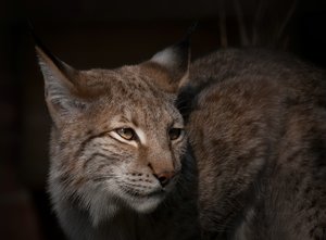 comp_Tierpark Odenkirchen 140a.jpg