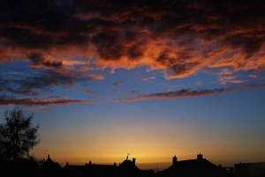 Forum DSC01761  NEX 5R + PancolarZebra 1,8 50mm psf (c) PPf.jpg