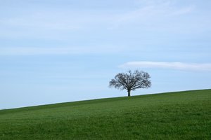 comp_DSC_0520.jpg comp_DSC_0520.jpg