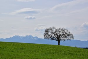 comp_DSC_0523.jpg comp_DSC_0523.jpg