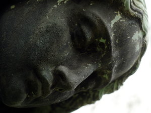 _3253199.JPG _3253199.JPG