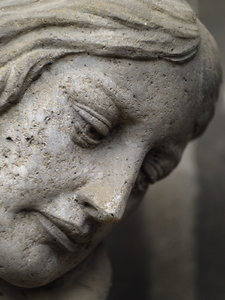 _3253209.JPG _3253209.JPG