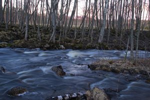 IMG_4104 - Arbeitskopie 2  neu2.jpg