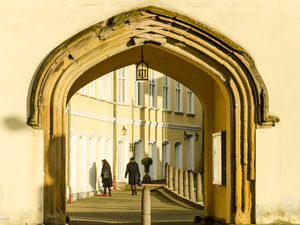 Traumpfade (3 von 8).jpg