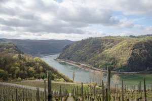 Traumpfade (5 von 8).jpg