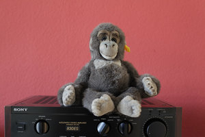 01 - ohne Blitz.jpg 01 - ohne Blitz.jpg