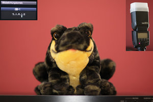 03 - mit Korrektur plus eins.jpg