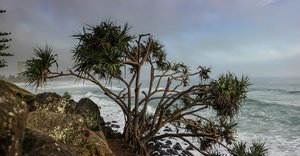 Burleig Beach Sunrise.Pano_6_1500_500 kb.jpg