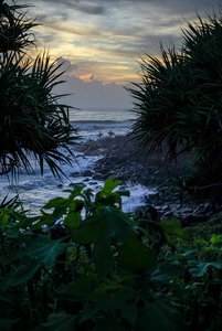 DSC00603_1500_500 kb.jpg